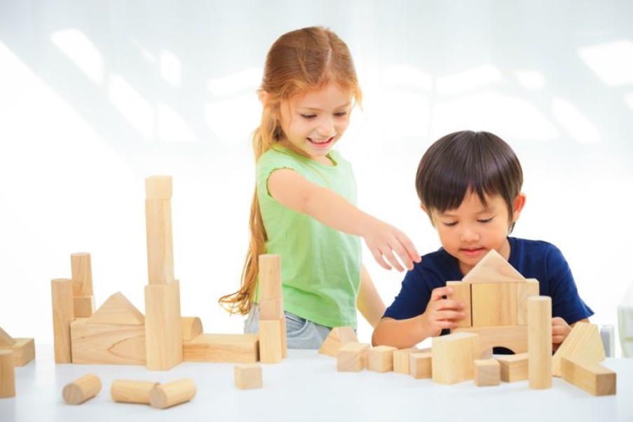 Plan Toys Bloques De Construccion De Madera De 50 Piezas - Plan Toys | Bloques De Construccion