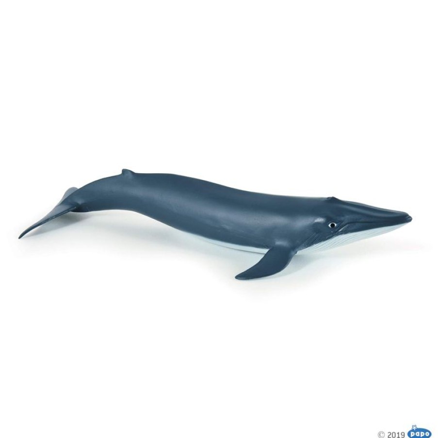 Papo Figura De Ballena Azul Bebe - Papo | Animales Marinos