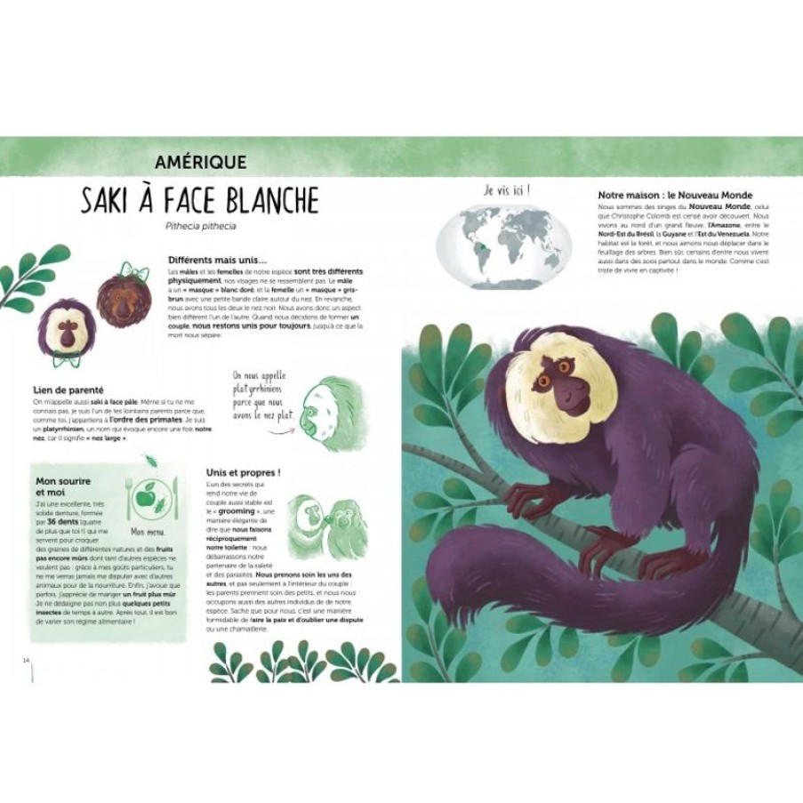 Sassi Junior Atlas De La Biodiversidad - Animales Insolitos Y Curiosos - Sassi Junior | Libros