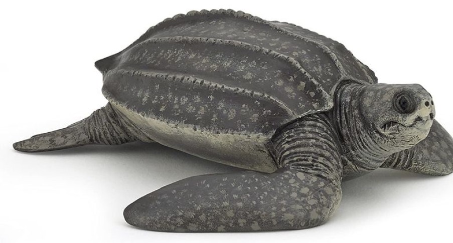 Papo Figura De Tortuga Laud - Papo | Animales Marinos