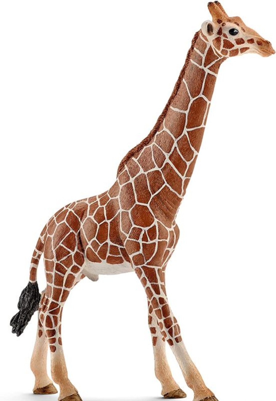 Schleich Figura De Jirafa Macho Marron Schleich | Animales Salvajes