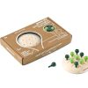 Milaniwood Juego De Tres En Raya Verde - Milaniwood | Juegos De Puzzle, Estrategia Y Logica