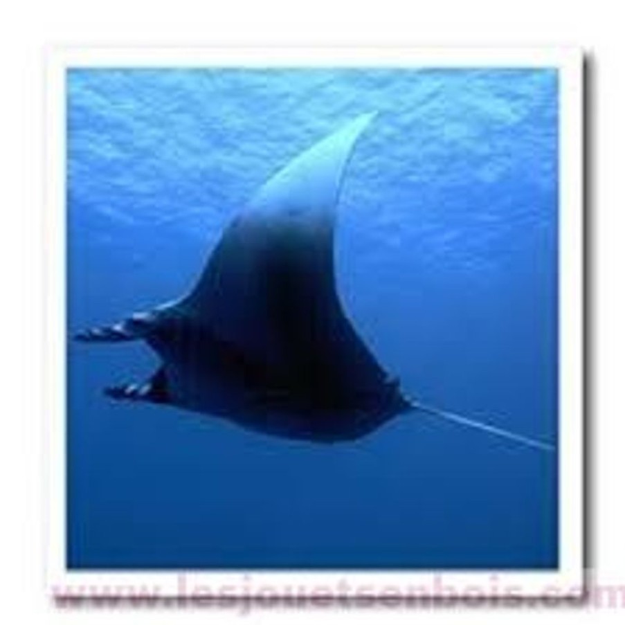 Papo Estatuilla De Mantarraya - Papo | Animales Marinos