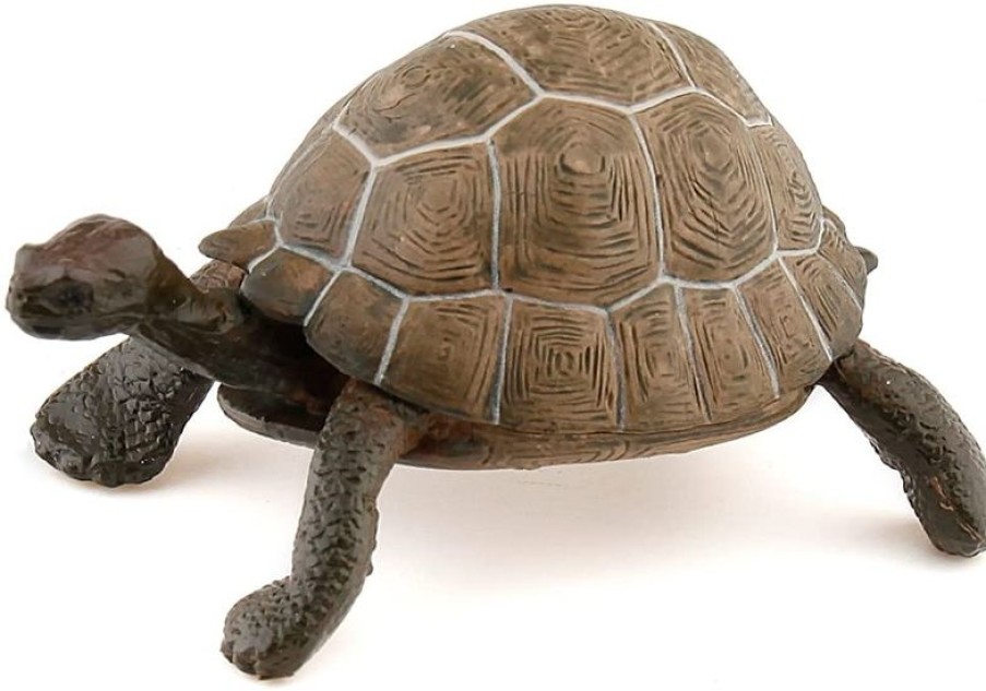 Papo Figura De Tortuga - Papo | Animales Salvajes