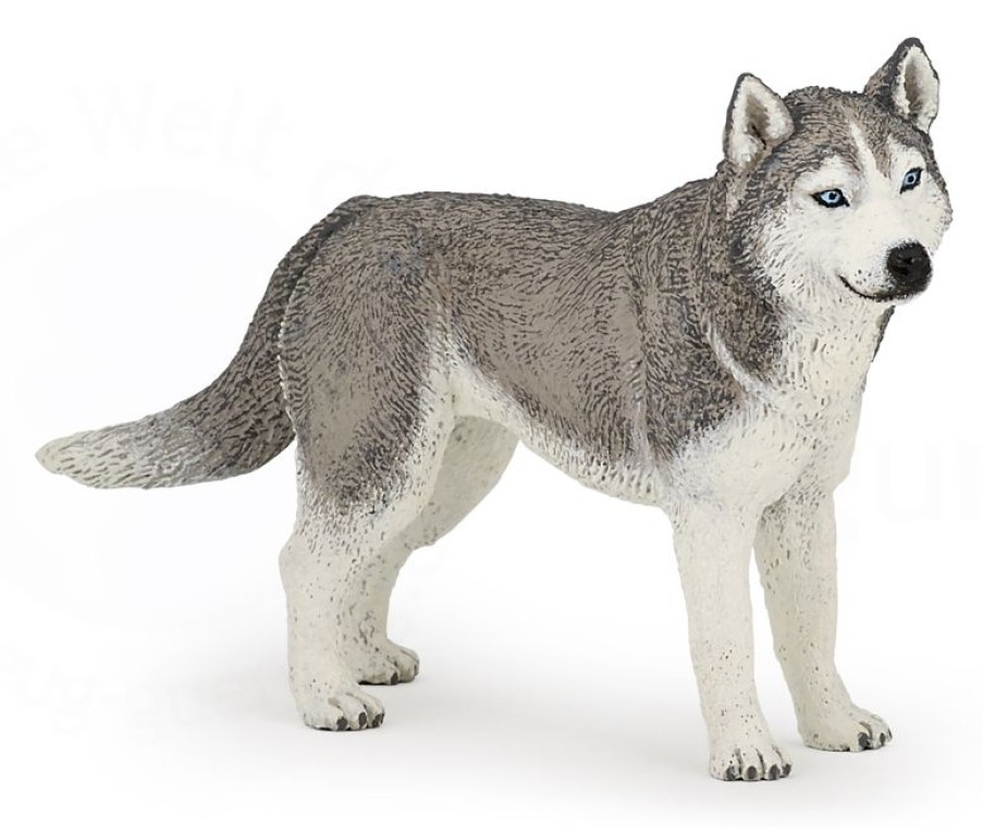 Papo Figura De Husky Siberiano - Papo | Perros Y Gatos