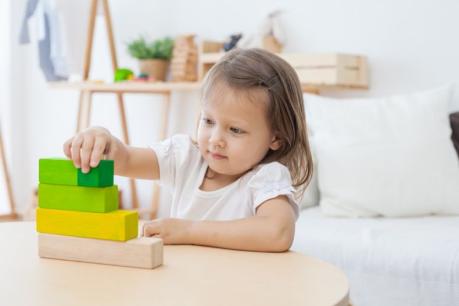 Plan Toys Pedir Bloques - Plan Toys | Juegos Montessori