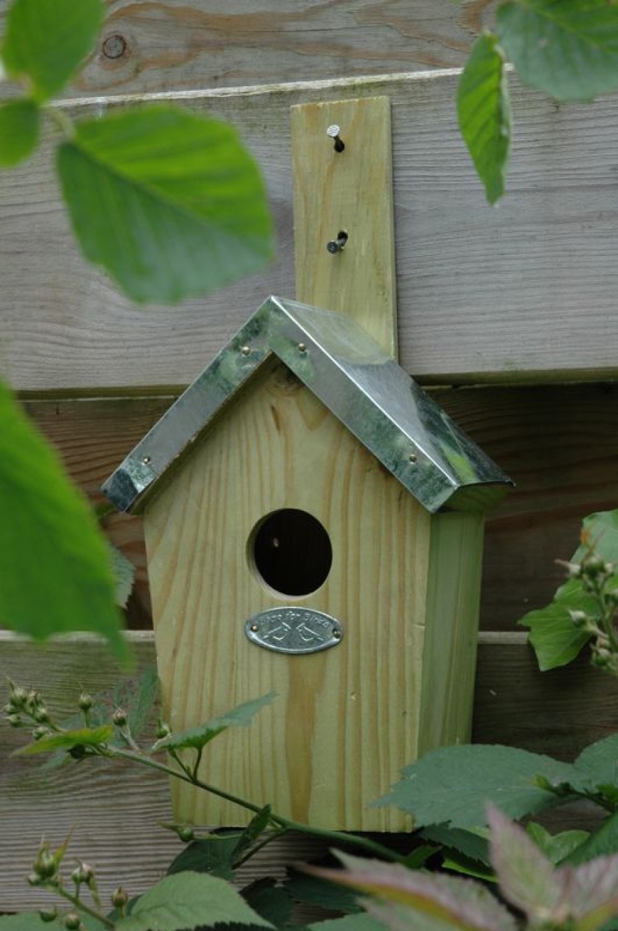 Esschert Design Casita De Pajaros Verde - Esschert Design | Cajas Nido Y Comederos Para Animales