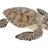 Papo Figura De Tortuga Boba - Papo | Animales Marinos