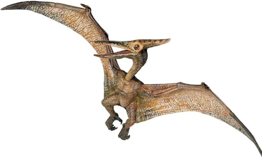 Papo Figura De Pteranodon - Papo | Dinosaurios